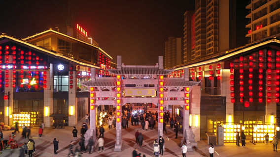 Dreaming Back to the New City of the Tang Dynasty