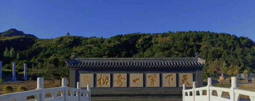 Jiulongsong