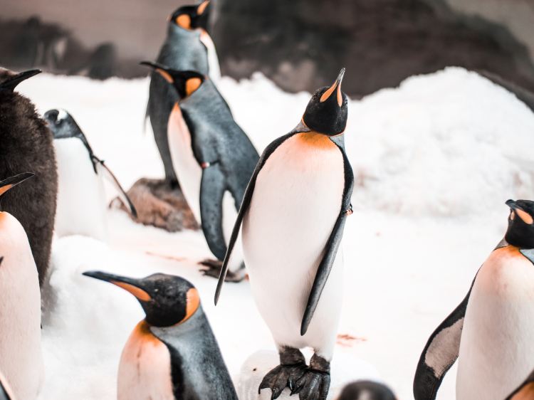 SEA LIFE Melbourne Aquarium