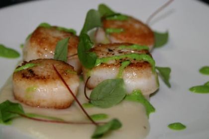 Moelleuses et Persillees