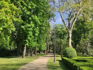 City Park