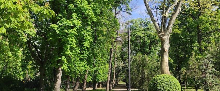 City Park