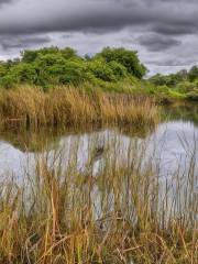 Seven Lochs Wetland Park