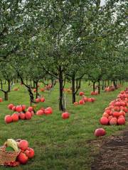 Sweetland Orchard