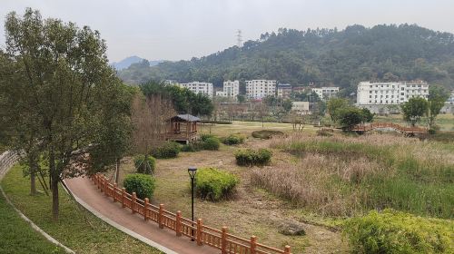 羅源濕地公園