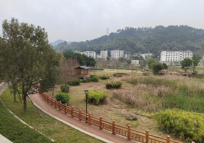 羅源濕地公園