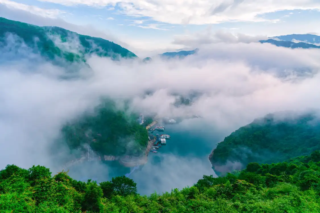 Hotels near Longjing Valley