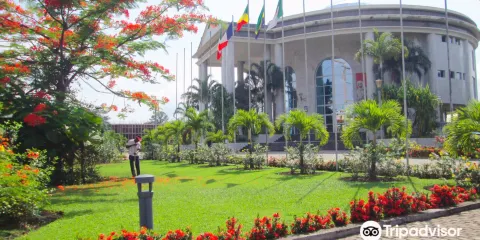 National Museum of Congo