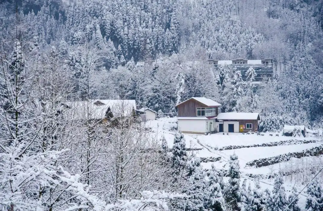 Hotels near Shen Pu Gou