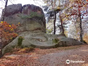 Rezerwat przyrody Prządki