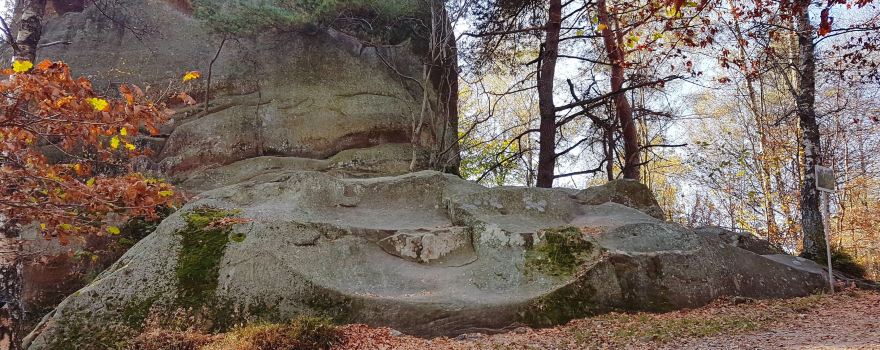 Rezerwat przyrody Prządki
