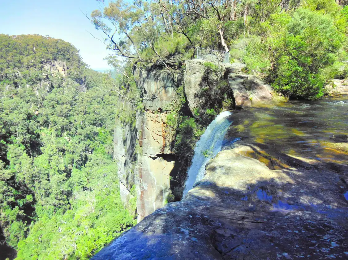 Hotel in zona Belmore Park