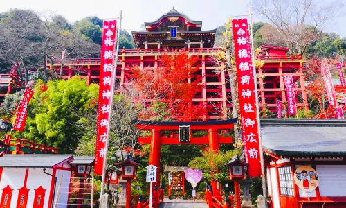 Yūtoku Inari Shrine