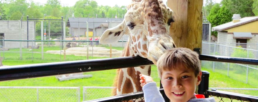 NEW Zoo & Adventure Park