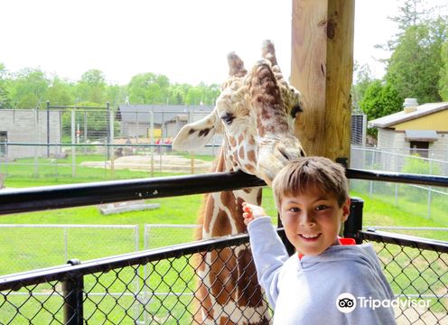 NEW Zoo & Adventure Park