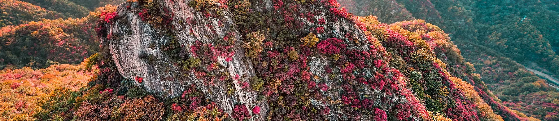 Fall Viewing Attractions