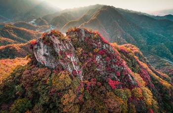 Top 10 Fall Viewing Attractions in Luanchuan