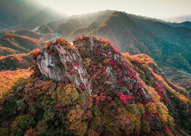 Fall Foliage Sightseeing in Luoyang
