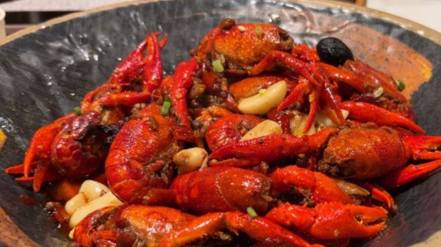 Jiu jiu da pai dang (jing bei lu)