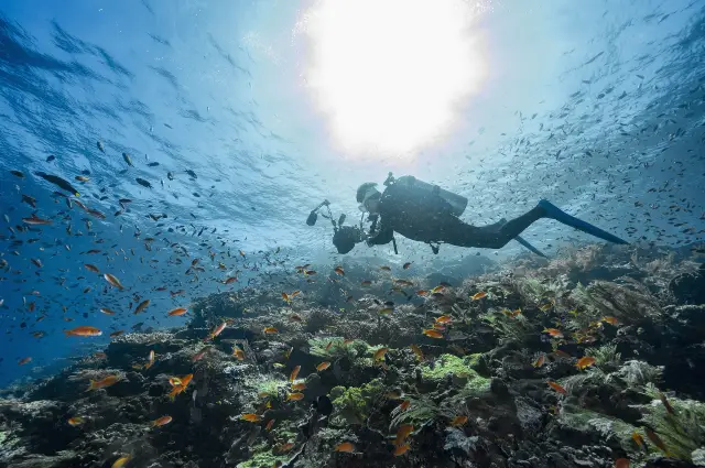 Scuba Diving in Komodo