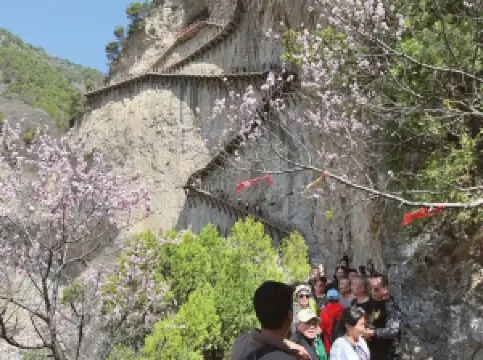 Mianshan Scenic Spot 