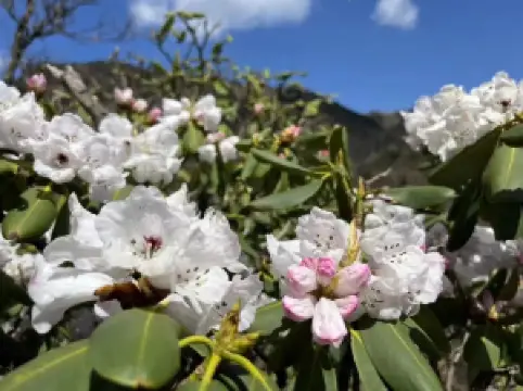 National Forest Park of Niubeiliang Shanxi