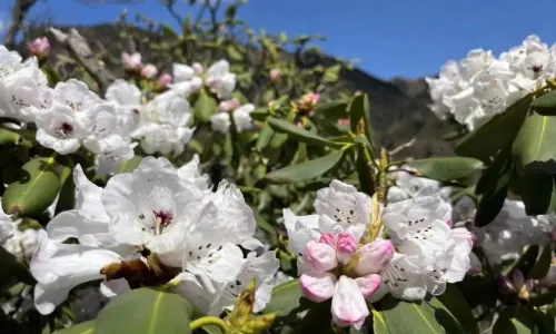 National Forest Park of Niubeiliang Shanxi