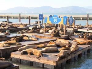 Fisherman’s Wharf