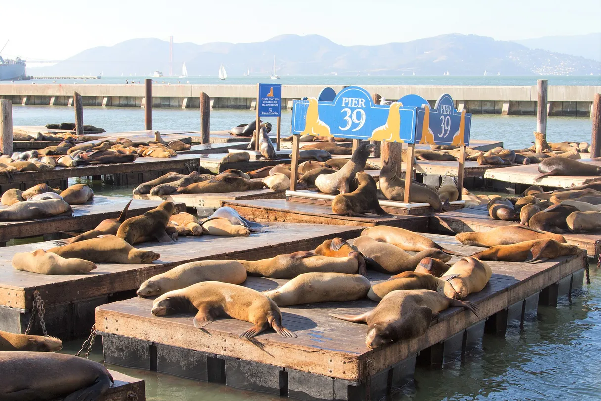 2_Fisherman's Wharf