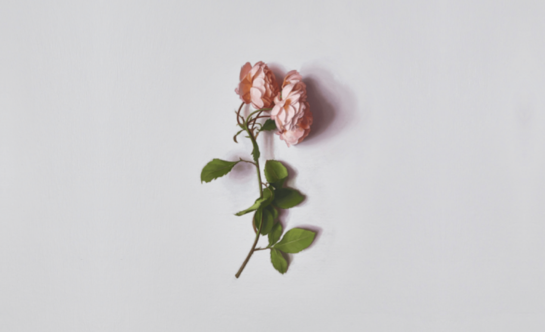 Alison Watt: From Light | Pitzhanger Manor & Gallery
