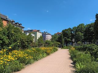 Direktflüge Phuket Frankfurt