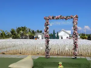 10,000 Roses Cafe & More