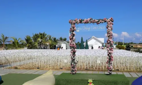 10,000 Roses Cafe & More