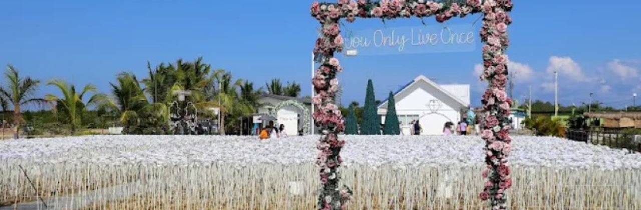 10,000 Roses Cafe & More