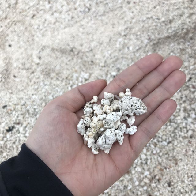 altTitle