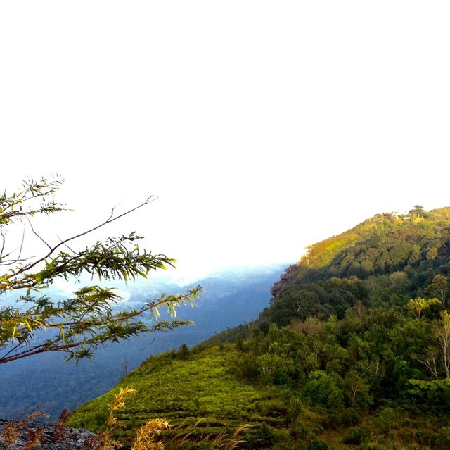 ปีนป่ายเขาหลวง