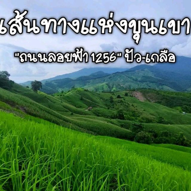 เส้นทางแห่งขุนเขา 1256-1081 ปัว-บ่อเกลือ