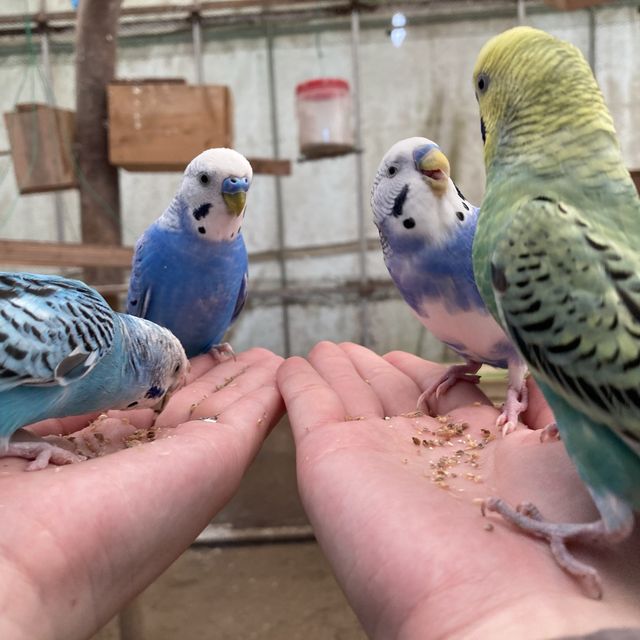 関東一！！？触れ合える動物園！
