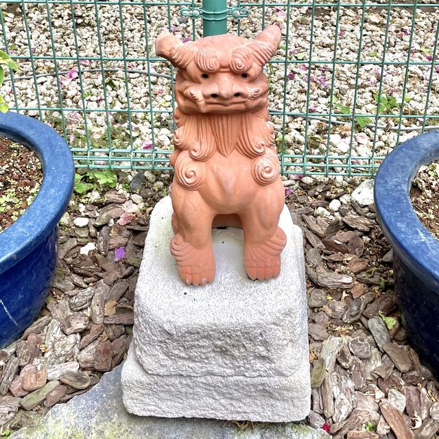 箱根で沖縄気分を