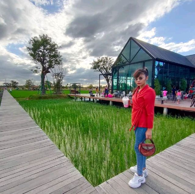 "มานาเด้อ" คาเฟ่กลางทุ่งนาอุบล