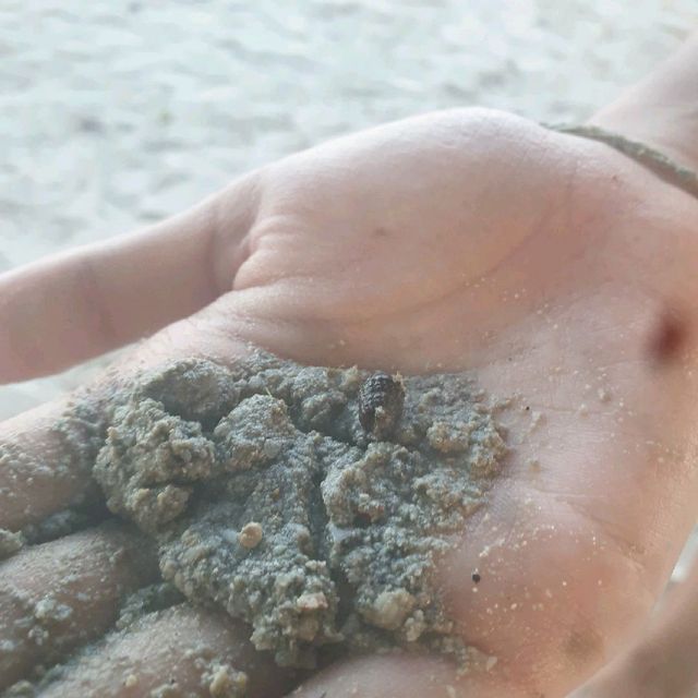 O P บังกะโล หาดเฉวง