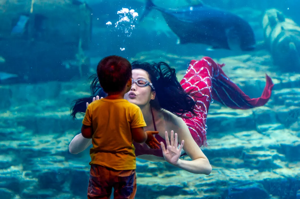 2_Wuhan East Lake Ocean World