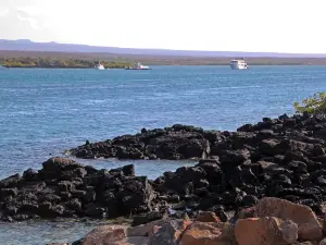 バルトラ島