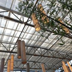 無錫拈花灣君來波羅蜜多酒店·禪食館張用戶圖片