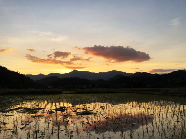 대지토루군
