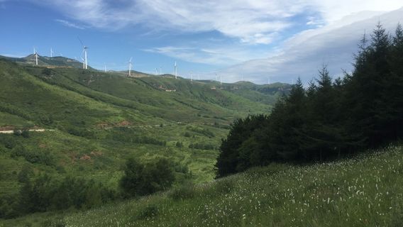 Shilongshan National Forest Park