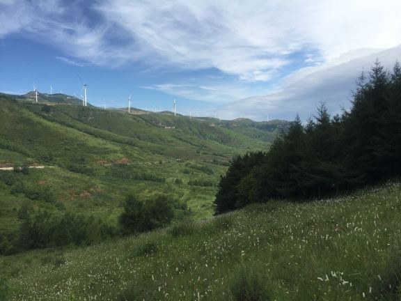 Shilongshan National Forest Park