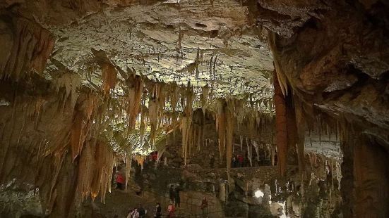 波斯托伊纳溶洞位于斯洛文尼亚，是欧洲第二大溶洞。洞内胜景甚多