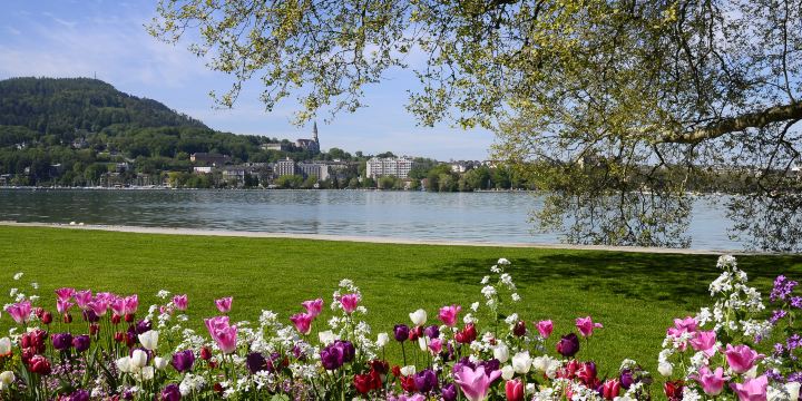 Les Jardins de l'Europe