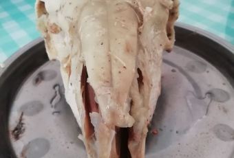 楊老五羊肉粉湯用戶圖片